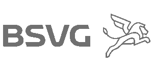 BSVG-s@2x